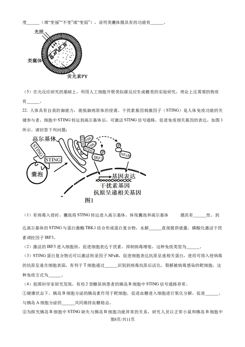 2025年高考生物试卷（江苏卷）（空白卷）_生物历年高考真题_新&middot;Word版2008-2025&middot;高考生物真题_生物（按年份分类）2008-2025_2025&middot;高考生物真题