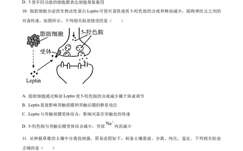 2025年高考生物试卷（江苏卷）（空白卷）_生物历年高考真题_新&middot;Word版2008-2025&middot;高考生物真题_生物（按年份分类）2008-2025_2025&middot;高考生物真题