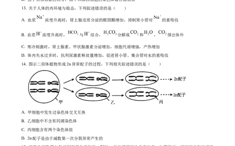 2025年高考生物试卷（江苏卷）（空白卷）_生物历年高考真题_新&middot;Word版2008-2025&middot;高考生物真题_生物（按年份分类）2008-2025_2025&middot;高考生物真题