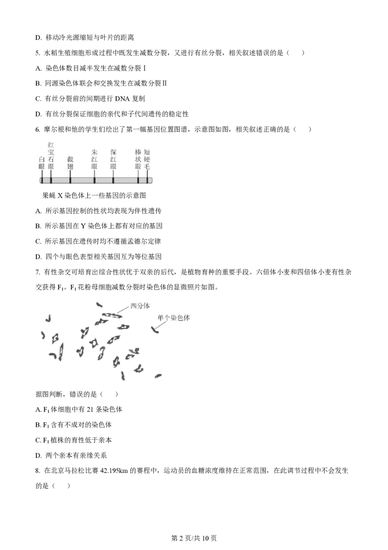 2024年高考生物试卷（北京）（空白卷）_生物历年高考真题_新&middot;PDF版2008-2025&middot;高考生物真题_生物（按年份分类）2008-2025_2024&middot;高考生物真题