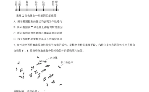 2024年高考生物试卷（北京）（空白卷）_生物历年高考真题_新&middot;PDF版2008-2025&middot;高考生物真题_生物（按年份分类）2008-2025_2024&middot;高考生物真题