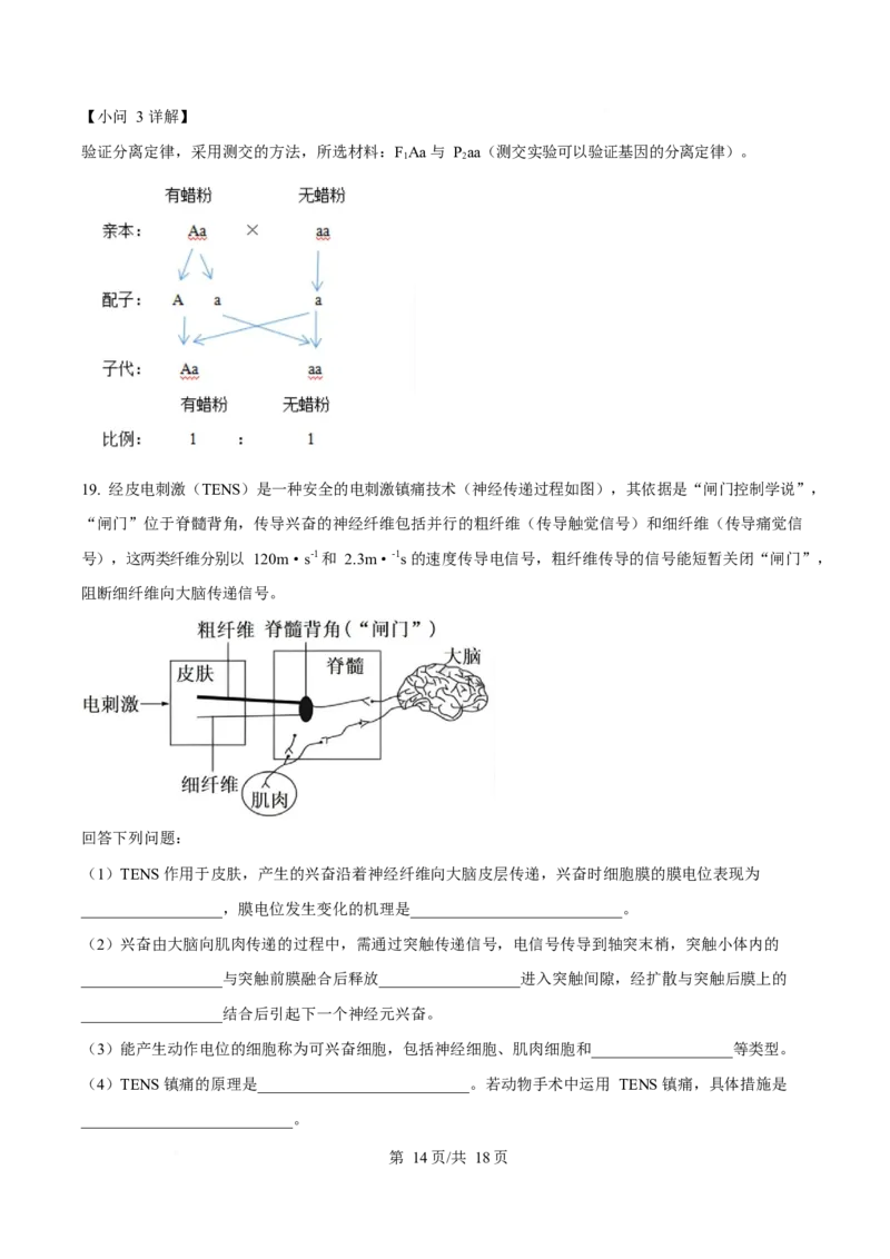 2025年高考生物试卷（云南卷）（解析卷）_生物历年高考真题_新&middot;Word版2008-2025&middot;高考生物真题_生物（按年份分类）2008-2025_2025&middot;高考生物真题