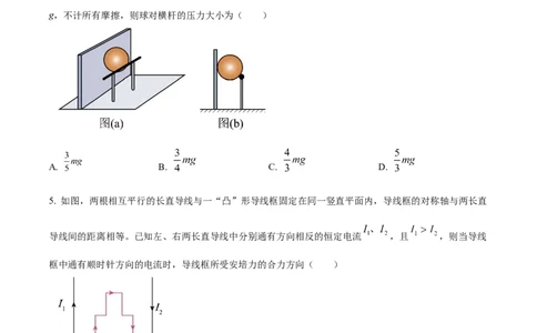 2024年高考物理试卷（贵州）（空白卷）_物理历年高考真题_新&middot;Word版2008-2025&middot;高考物理真题_物理（按年份分类）2008-2025_2024&middot;高考物理真题