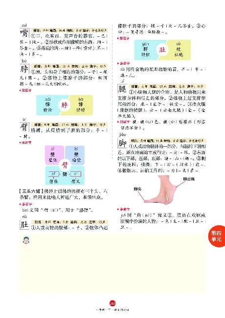 1年级语文绘本-J1-六三版_一年级语文下册（统编版）_老课标资料_一下语文含教学视频_第一套_010-绘本课堂PDF可下载打印