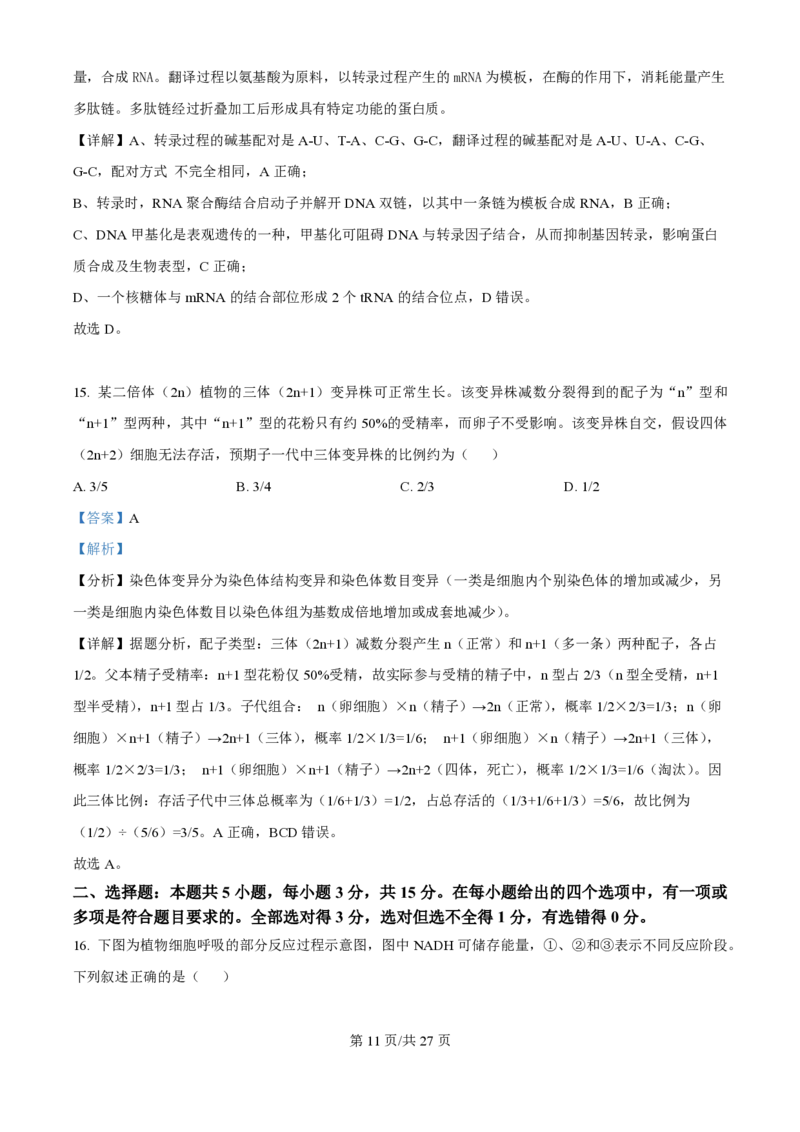 2025年高考生物试卷（黑吉辽蒙卷）（解析卷）_生物历年高考真题_新&middot;PDF版2008-2025&middot;高考生物真题_生物（按年份分类）2008-2025_2025&middot;高考生物真题