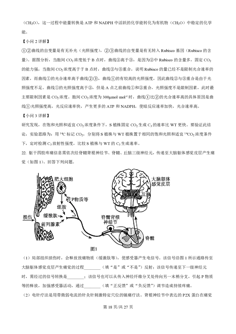 2025年高考生物试卷（黑吉辽蒙卷）（解析卷）_生物历年高考真题_新&middot;PDF版2008-2025&middot;高考生物真题_生物（按年份分类）2008-2025_2025&middot;高考生物真题