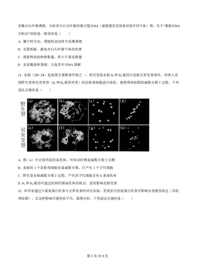 2024年高考生物试卷（广西）（空白卷）_生物历年高考真题_新&middot;PDF版2008-2025&middot;高考生物真题_生物（按年份分类）2008-2025_2024&middot;高考生物真题