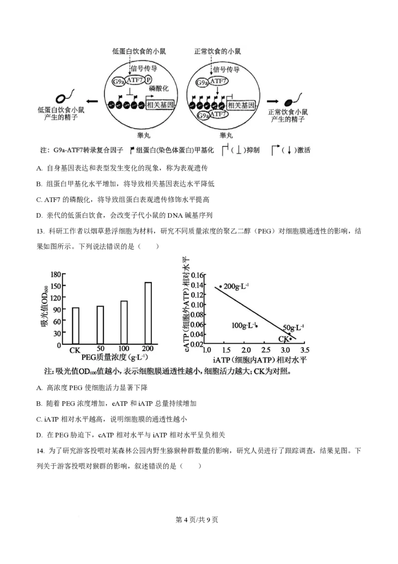 2024年高考生物试卷（广西）（空白卷）_生物历年高考真题_新&middot;PDF版2008-2025&middot;高考生物真题_生物（按年份分类）2008-2025_2024&middot;高考生物真题
