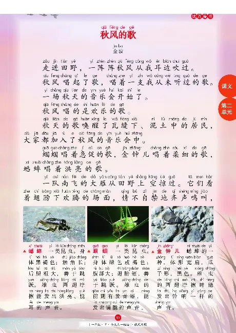 《年级阅读》语文1年级下册（RJ）_一年级上下册资料_小学一年级学习资料-25年更新版_1-02、小学一年级语文下册_3-6-2-2、练习题、作业、专项、试卷_部编（人教）版_电子册类