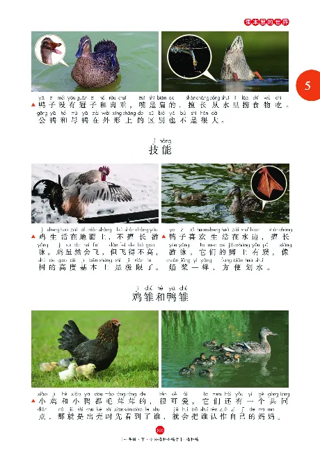 《年级阅读》语文1年级下册（RJ）_一年级上下册资料_小学一年级学习资料-25年更新版_1-02、小学一年级语文下册_3-6-2-2、练习题、作业、专项、试卷_部编（人教）版_电子册类