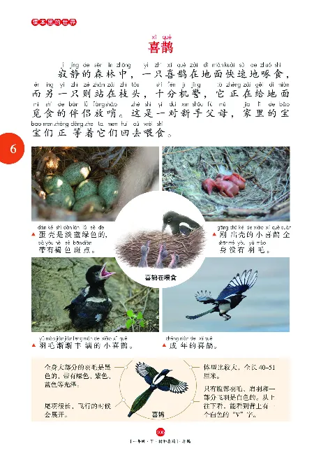 《年级阅读》语文1年级下册（RJ）_一年级上下册资料_小学一年级学习资料-25年更新版_1-02、小学一年级语文下册_3-6-2-2、练习题、作业、专项、试卷_部编（人教）版_电子册类