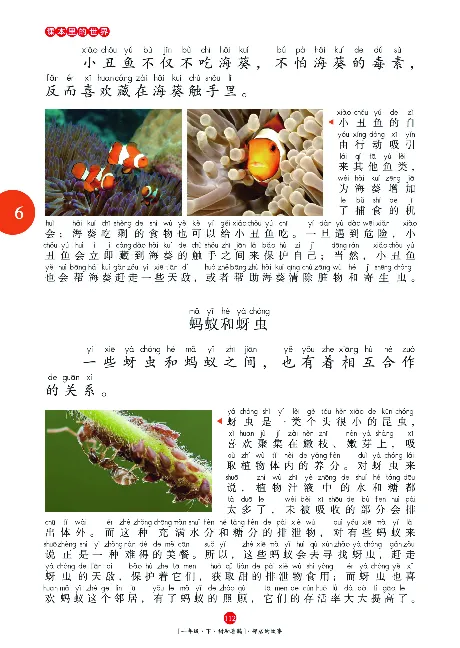 《年级阅读》语文1年级下册（RJ）_一年级上下册资料_小学一年级学习资料-25年更新版_1-02、小学一年级语文下册_3-6-2-2、练习题、作业、专项、试卷_部编（人教）版_电子册类