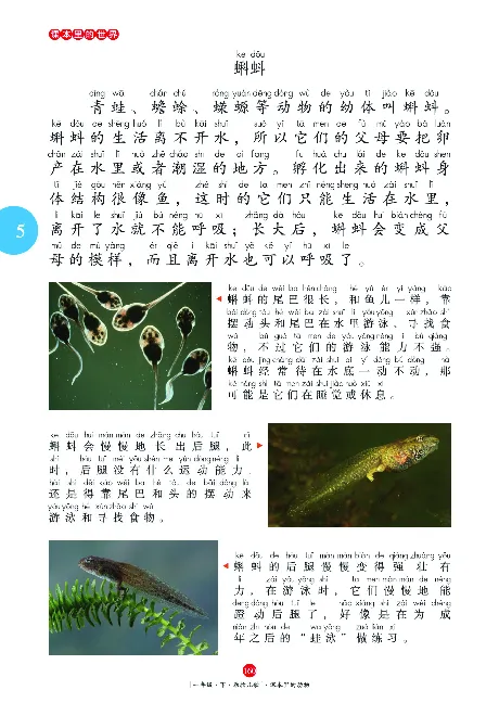 《年级阅读》语文1年级下册（RJ）_一年级上下册资料_小学一年级学习资料-25年更新版_1-02、小学一年级语文下册_3-6-2-2、练习题、作业、专项、试卷_部编（人教）版_电子册类