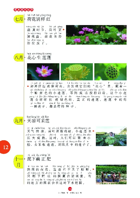 《年级阅读》语文1年级下册（RJ）_一年级上下册资料_小学一年级学习资料-25年更新版_1-02、小学一年级语文下册_3-6-2-2、练习题、作业、专项、试卷_部编（人教）版_电子册类