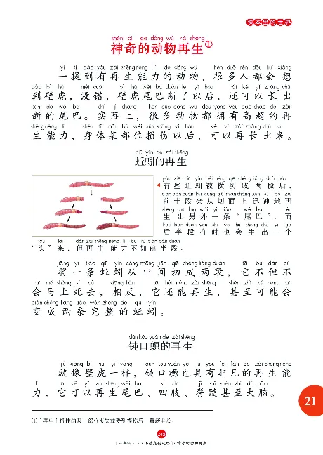 《年级阅读》语文1年级下册（RJ）_一年级上下册资料_小学一年级学习资料-25年更新版_1-02、小学一年级语文下册_3-6-2-2、练习题、作业、专项、试卷_部编（人教）版_电子册类