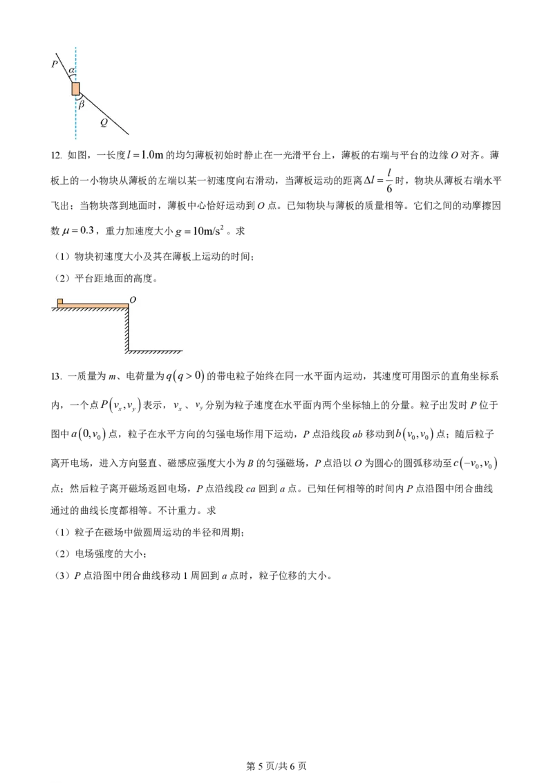 2024年高考物理试卷（新课标）（空白卷）_物理历年高考真题_新&middot;PDF版2008-2025&middot;高考物理真题_物理（按年份分类）2008-2025_2024&middot;高考物理真题