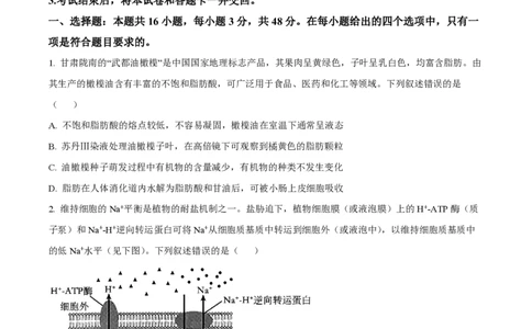 2024年高考生物试卷（甘肃）（空白卷）_生物历年高考真题_新&middot;PDF版2008-2025&middot;高考生物真题_生物（按年份分类）2008-2025_2024&middot;高考生物真题