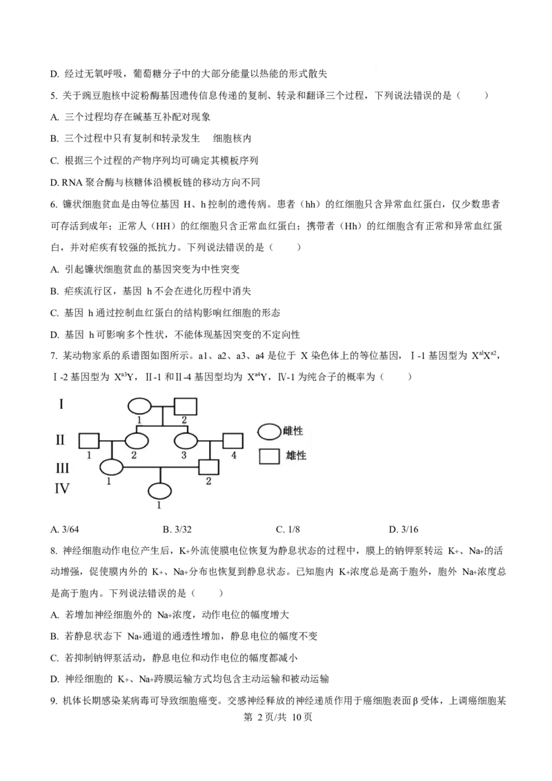 2025年高考生物试卷（山东卷）（空白卷）_生物历年高考真题_新&middot;Word版2008-2025&middot;高考生物真题_生物（按年份分类）2008-2025_2025&middot;高考生物真题
