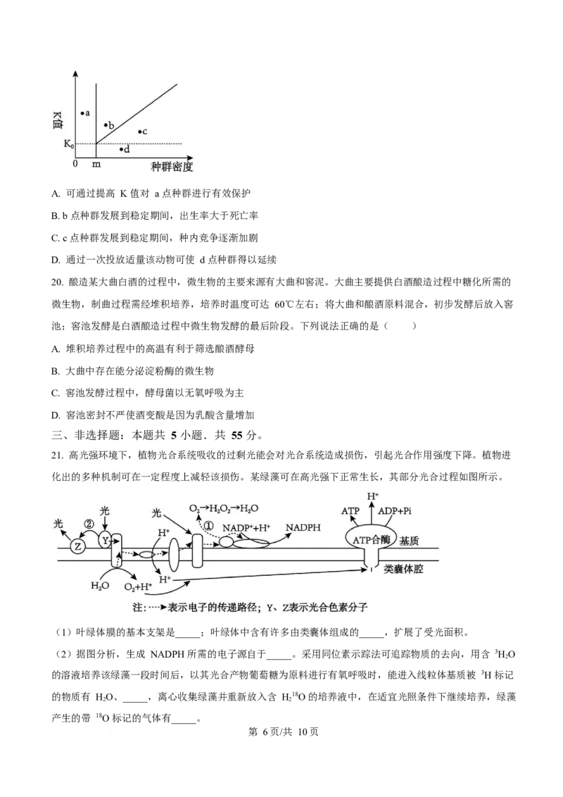 2025年高考生物试卷（山东卷）（空白卷）_生物历年高考真题_新&middot;Word版2008-2025&middot;高考生物真题_生物（按年份分类）2008-2025_2025&middot;高考生物真题