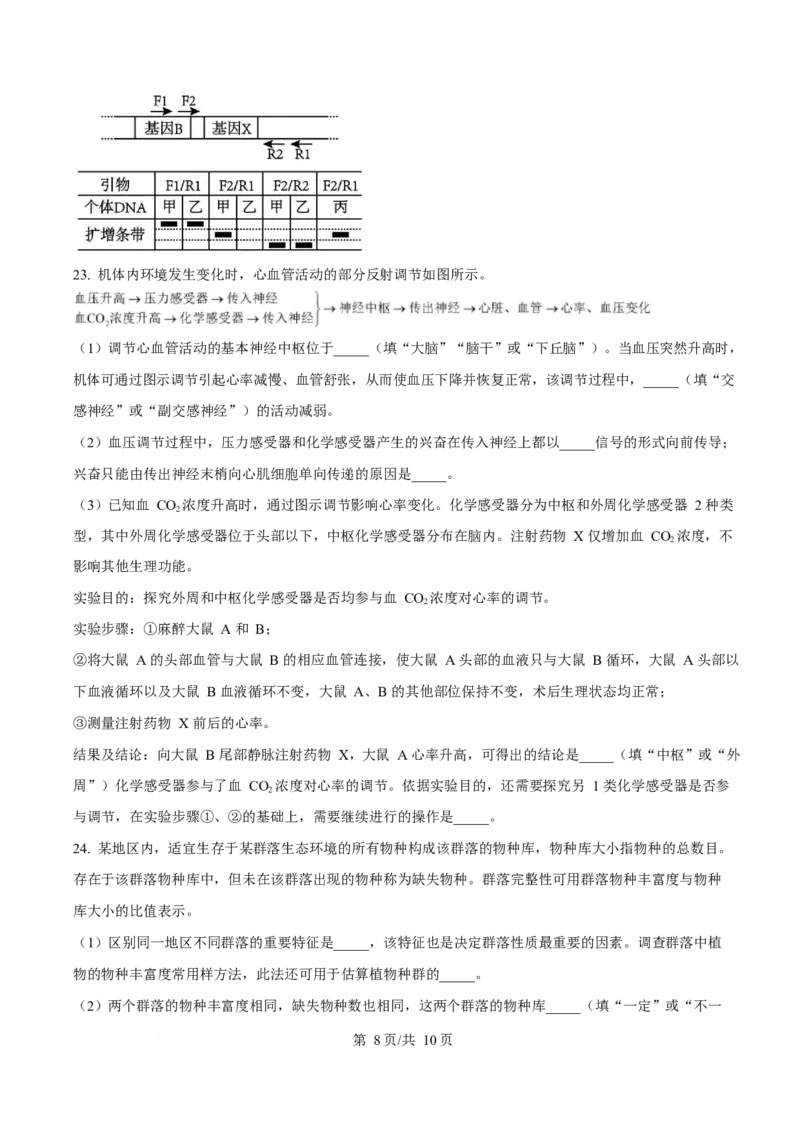 2025年高考生物试卷（山东卷）（空白卷）_生物历年高考真题_新&middot;Word版2008-2025&middot;高考生物真题_生物（按年份分类）2008-2025_2025&middot;高考生物真题