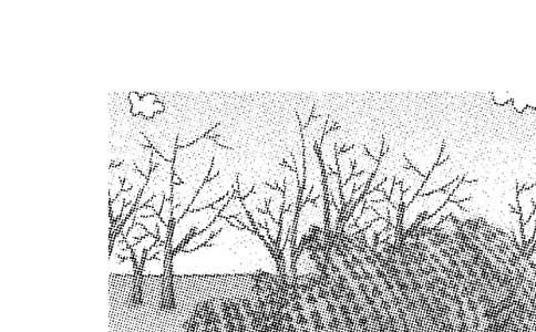 跟我学写话（写景7篇）_一年级语文下册（统编版）_老课标资料_写话课件_一下语文-写话课件与范文_跟我学写话分类指导