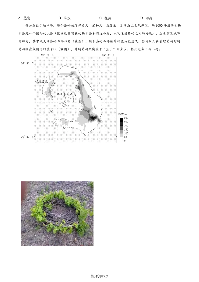 2024年高考地理试卷（山东）（空白卷）_地理历年高考真题_新&middot;Word版2008-2025&middot;高考地理真题_地理（按年份分类）2008-2025_2024&middot;地理高考真题