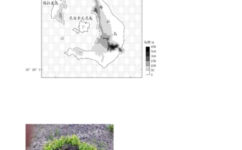 2024年高考地理试卷（山东）（空白卷）_地理历年高考真题_新&middot;Word版2008-2025&middot;高考地理真题_地理（按年份分类）2008-2025_2024&middot;地理高考真题