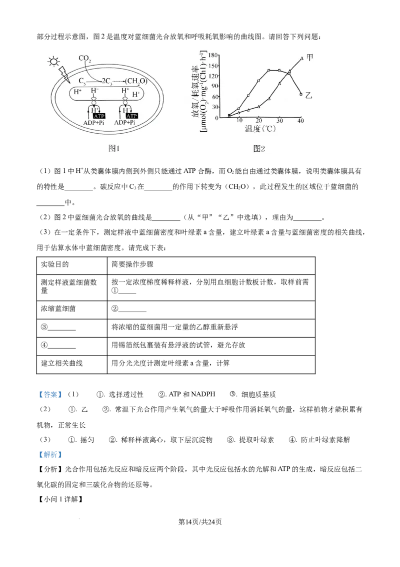 2024年高考生物试卷（江苏）（解析卷）_生物历年高考真题_新&middot;Word版2008-2025&middot;高考生物真题_生物（按年份分类）2008-2025_2024&middot;高考生物真题