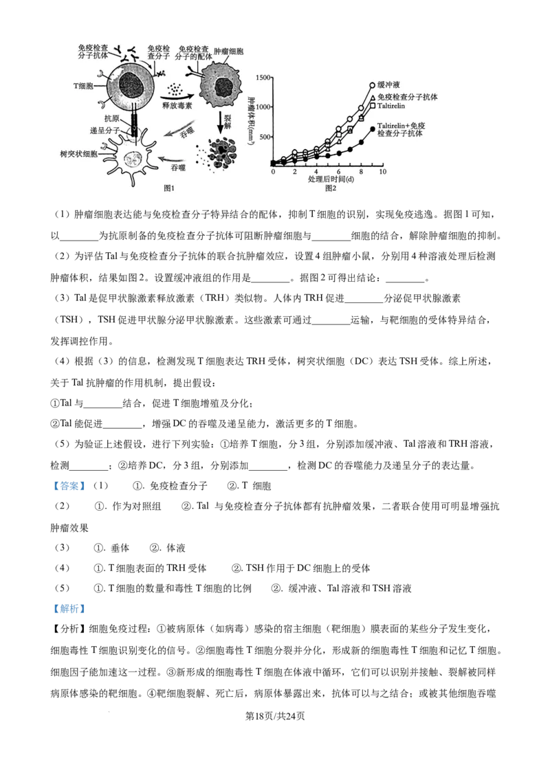 2024年高考生物试卷（江苏）（解析卷）_生物历年高考真题_新&middot;Word版2008-2025&middot;高考生物真题_生物（按年份分类）2008-2025_2024&middot;高考生物真题