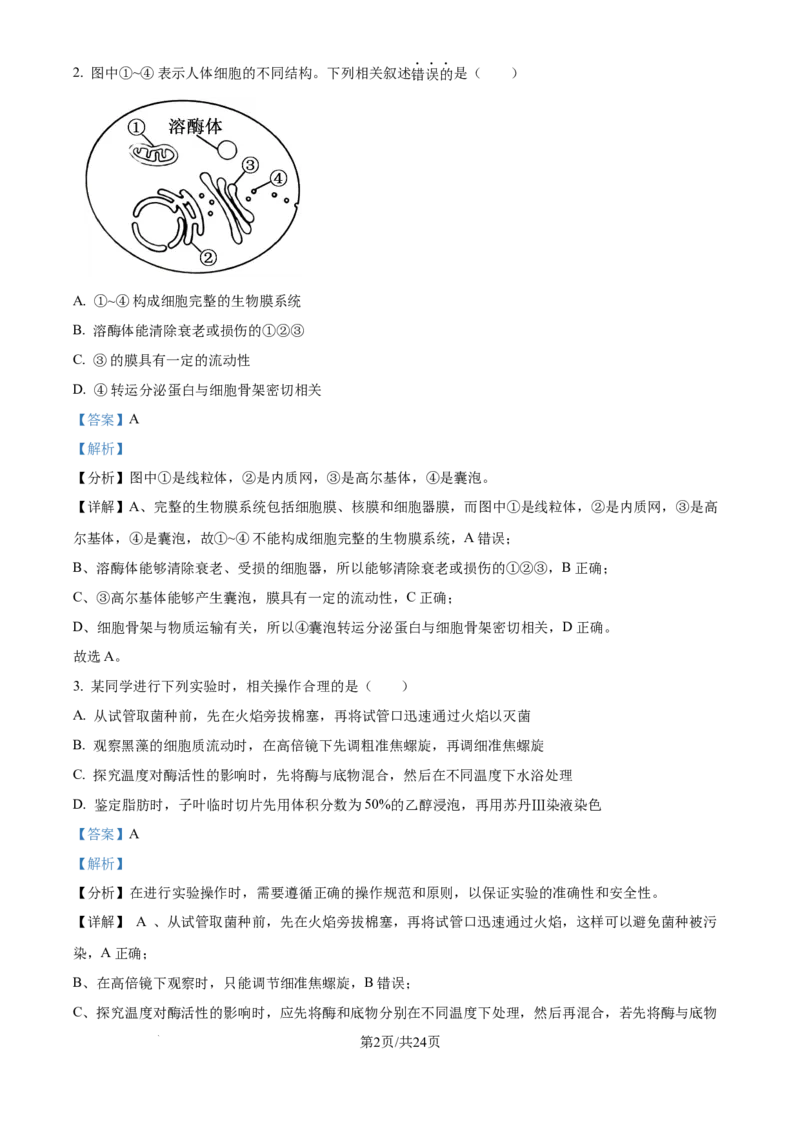 2024年高考生物试卷（江苏）（解析卷）_生物历年高考真题_新&middot;Word版2008-2025&middot;高考生物真题_生物（按年份分类）2008-2025_2024&middot;高考生物真题