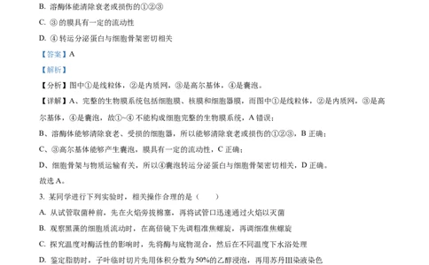 2024年高考生物试卷（江苏）（解析卷）_生物历年高考真题_新&middot;Word版2008-2025&middot;高考生物真题_生物（按年份分类）2008-2025_2024&middot;高考生物真题