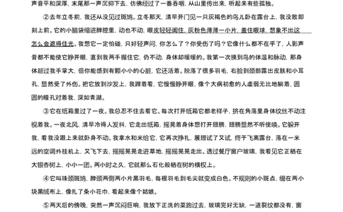 2024年高考语文试卷（上海6月）（空白卷）_语文历年高考真题_新&middot;Word版2008-2025&middot;高考语文真题_语文（按年份分类）2008-2025_2024&middot;语文高考真题