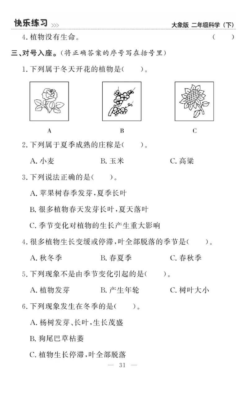 《快乐练习》科学2年级下册（大象版）_二年级上下册资料_小学二年级学习资料-25年更新版_2-10、小学二年级科学下册_大象版