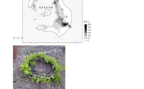 2024年高考地理试卷（山东）（空白卷）_地理历年高考真题_新&middot;PDF版2008-2025&middot;高考地理真题_地理（按年份分类）2008-2025_2024&middot;地理高考真题