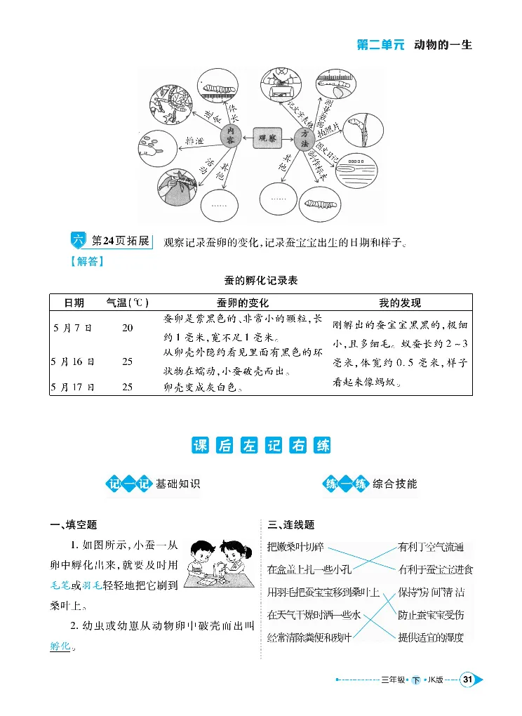 《左记右练》科学3年级下册（教科版）_三年级上下册资料_小学三年级学习资料-25年更新版_3-10、小学三年级科学下册_教科版_电子册类