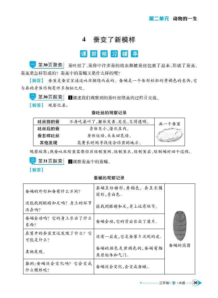 《左记右练》科学3年级下册（教科版）_三年级上下册资料_小学三年级学习资料-25年更新版_3-10、小学三年级科学下册_教科版_电子册类