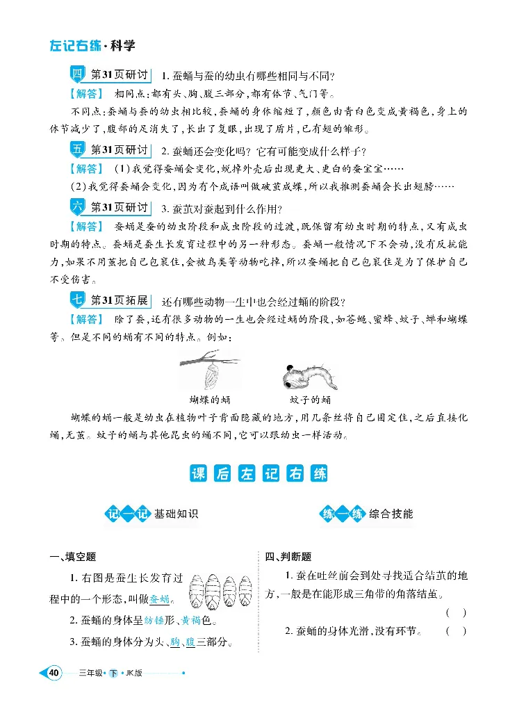 《左记右练》科学3年级下册（教科版）_三年级上下册资料_小学三年级学习资料-25年更新版_3-10、小学三年级科学下册_教科版_电子册类