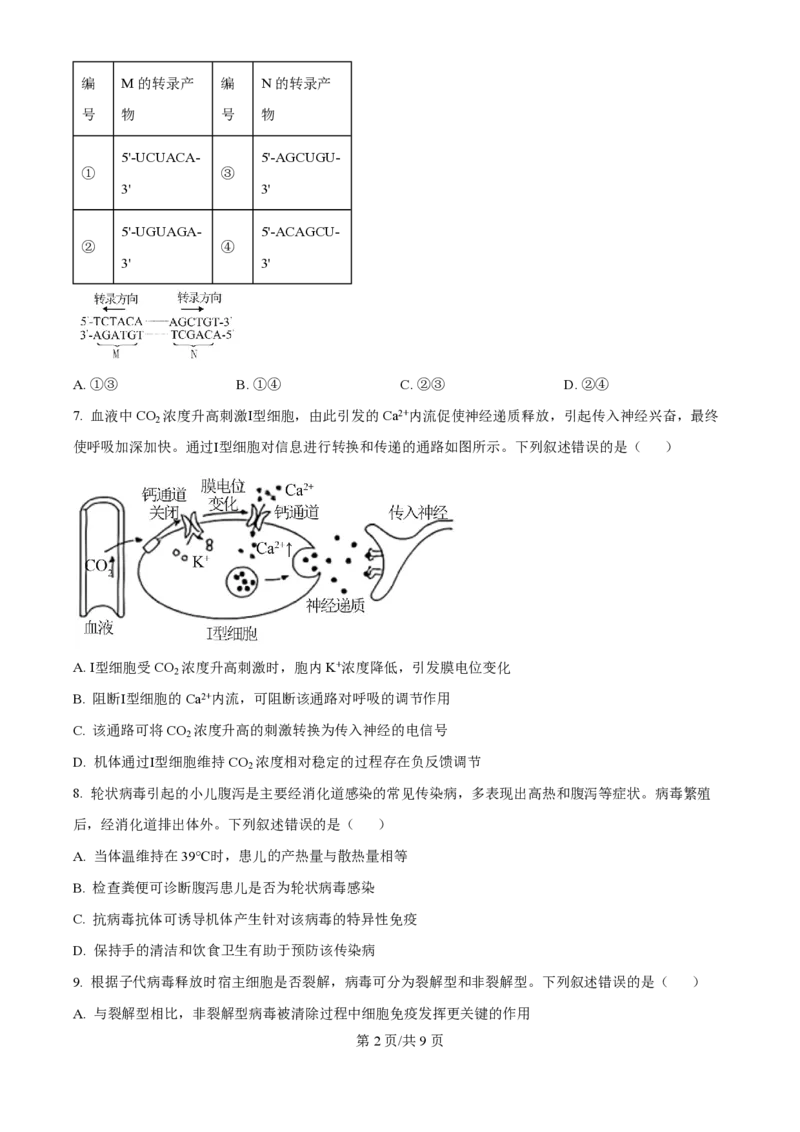 2025年高考生物试卷（河北卷）（空白卷）_生物历年高考真题_新&middot;PDF版2008-2025&middot;高考生物真题_生物（按年份分类）2008-2025_2025&middot;高考生物真题
