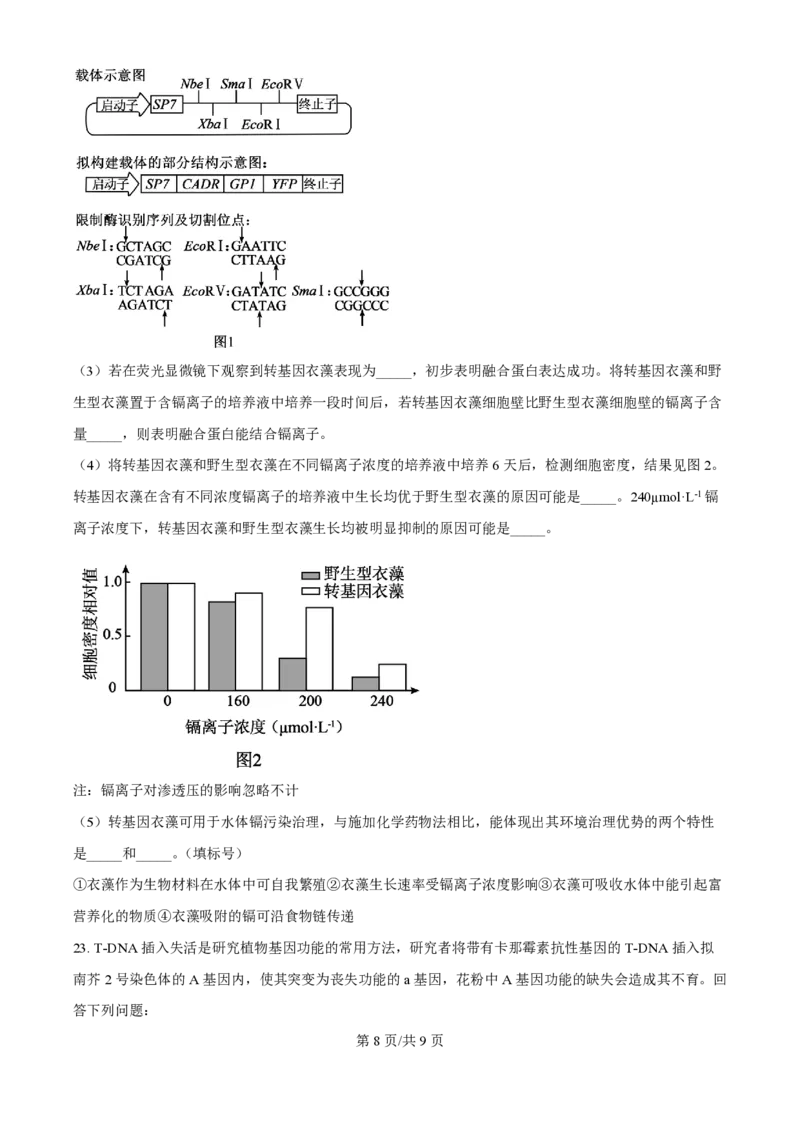 2025年高考生物试卷（河北卷）（空白卷）_生物历年高考真题_新&middot;PDF版2008-2025&middot;高考生物真题_生物（按年份分类）2008-2025_2025&middot;高考生物真题