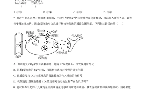 2025年高考生物试卷（河北卷）（空白卷）_生物历年高考真题_新&middot;PDF版2008-2025&middot;高考生物真题_生物（按年份分类）2008-2025_2025&middot;高考生物真题
