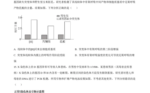 2025年高考生物试卷（河北卷）（空白卷）_生物历年高考真题_新&middot;PDF版2008-2025&middot;高考生物真题_生物（按年份分类）2008-2025_2025&middot;高考生物真题