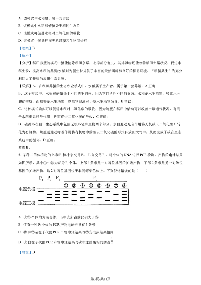2024年高考生物试卷（新课标）（解析卷）_生物历年高考真题_新&middot;Word版2008-2025&middot;高考生物真题_生物（按年份分类）2008-2025_2024&middot;高考生物真题