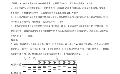 2024年高考生物试卷（新课标）（解析卷）_生物历年高考真题_新&middot;Word版2008-2025&middot;高考生物真题_生物（按年份分类）2008-2025_2024&middot;高考生物真题