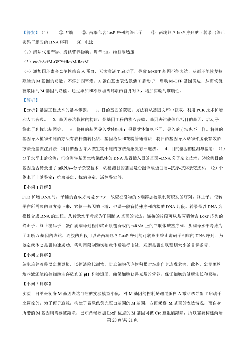 2024年高考生物试卷（广西）（解析卷）_生物历年高考真题_新&middot;PDF版2008-2025&middot;高考生物真题_生物（按年份分类）2008-2025_2024&middot;高考生物真题
