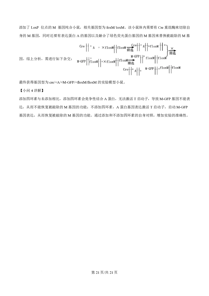 2024年高考生物试卷（广西）（解析卷）_生物历年高考真题_新&middot;PDF版2008-2025&middot;高考生物真题_生物（按年份分类）2008-2025_2024&middot;高考生物真题