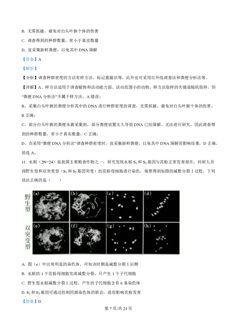 2024年高考生物试卷（广西）（解析卷）_生物历年高考真题_新&middot;PDF版2008-2025&middot;高考生物真题_生物（按年份分类）2008-2025_2024&middot;高考生物真题