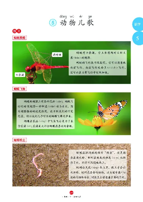 1年级语文绘本-J2-六三版_一年级语文下册（统编版）_老课标资料_一下语文含教学视频_第一套_010-绘本课堂PDF可下载打印