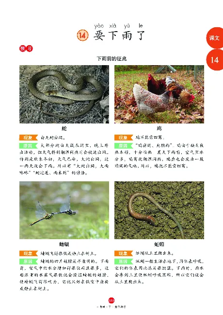 1年级语文绘本-J2-六三版_一年级语文下册（统编版）_老课标资料_一下语文含教学视频_第一套_010-绘本课堂PDF可下载打印