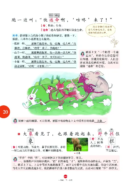 1年级语文绘本-J2-六三版_一年级语文下册（统编版）_老课标资料_一下语文含教学视频_第一套_010-绘本课堂PDF可下载打印