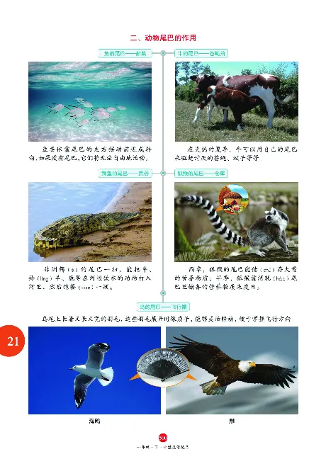 1年级语文绘本-J2-六三版_一年级语文下册（统编版）_老课标资料_一下语文含教学视频_第一套_010-绘本课堂PDF可下载打印